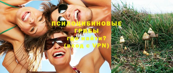 Альфа ПВП Беломорск