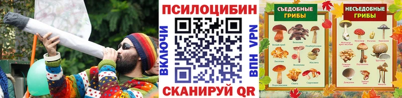 Псилоцибиновые грибы Psilocybe  omg tor  Ахтырский 